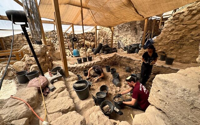 The excavations were conducted by the Israel Antiquities Authority and Tel Aviv University. The excavations were conducted by the Israel Antiquities Authority and Tel Aviv University.