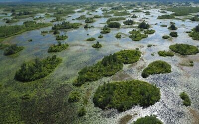The Okefenokee National Wildlife Refuge received a UNESCO World Heritage Site designation in July// All photos courtesy of U.S. Fish and Wildlife Service