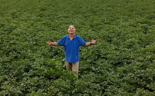 Former hostage Gadi Mozes an 81 year-old farmer and resident of Kibbutz Nir Oz, standing with his arms open in a crop field rebuild in his home // Photo Credit: Ziv Koren