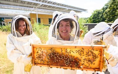 Epstein School second graders view a honeycomb up close.