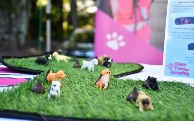 At the Clean Paws Scooping booth, some little dogs left "kisses" to be cleaned up.