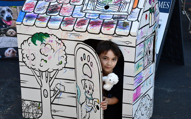 The AJT’s booth featured a dog house that invited children to color with markers.