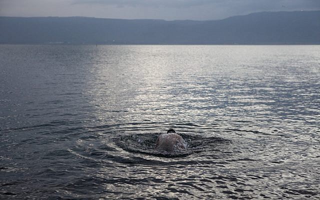 A man swims in the Sea of Galilee, Feb 2012. (photo credit: Yaakov Nahumi/Flash90)