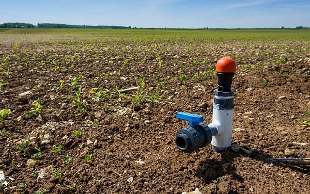 This picture taken on May 5, 2014 shows a drip irrigation system on a cornfield in Pas-de-Jeu (near Thouars, Western France). Drip irrigation was invented in Israel in the 1960s. (photo credit: AFP/Guillaume Souvant)