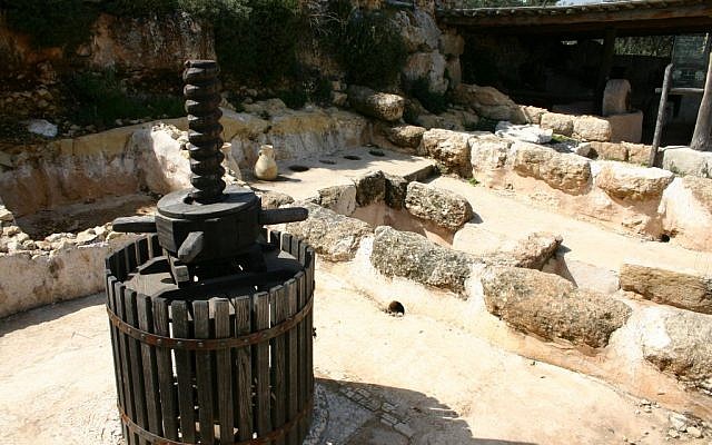 A wine press at Yad Hashmona (photo credit: Shmuel Bar-Am)