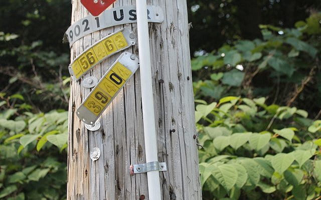 A PVC pipe affixed to a telephone pole that helps form the eruv in the town of Upper Saddle River, NJ. (Ben Sales for JTA)