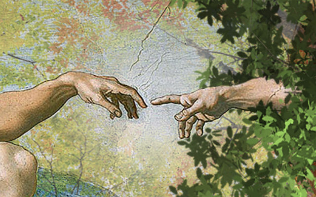 From Michelangelo's Creation of Adam, Sistine Chapel, 1512. (Wikipedia)
