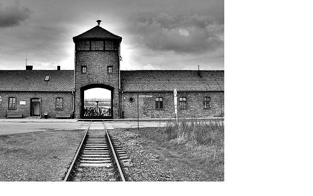 Auschwitz--Auschwitz Birkenau Museum