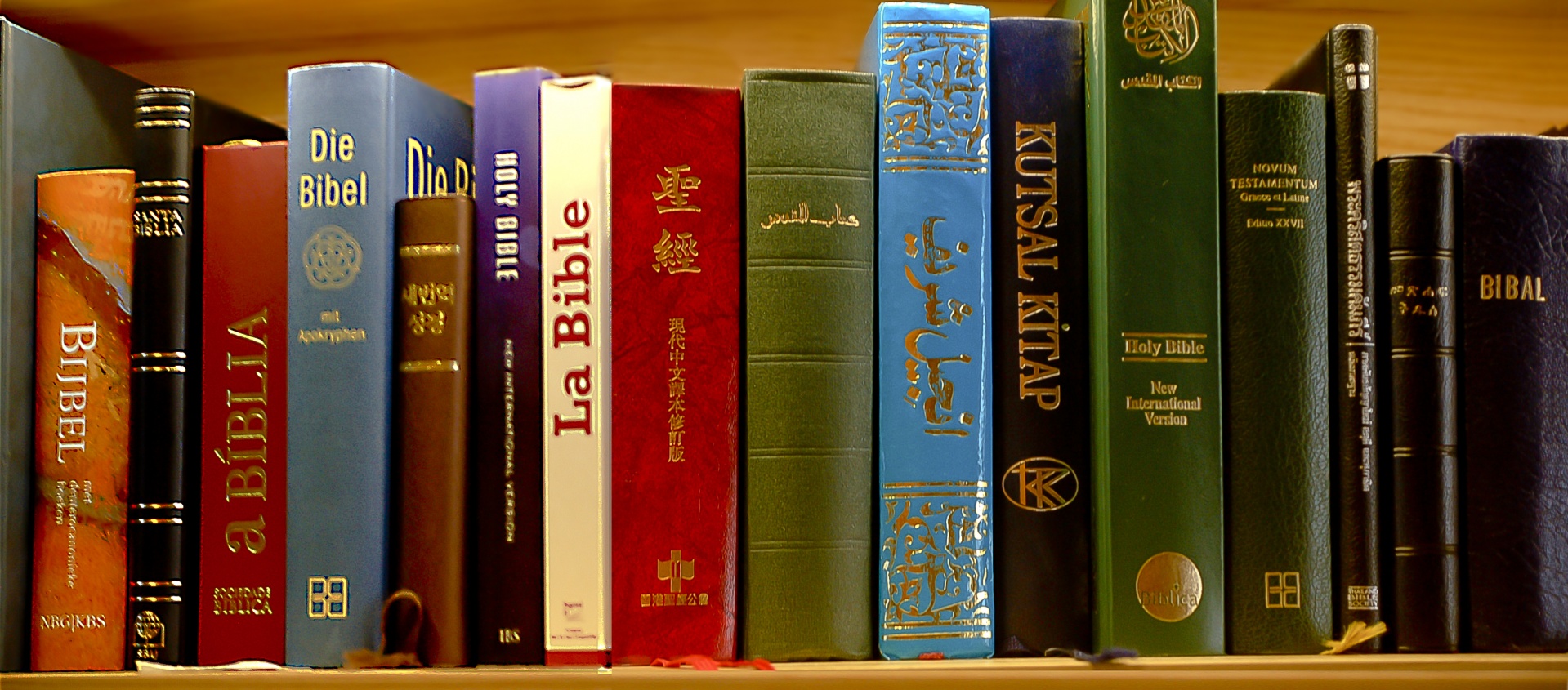 bible-in-different-languages
