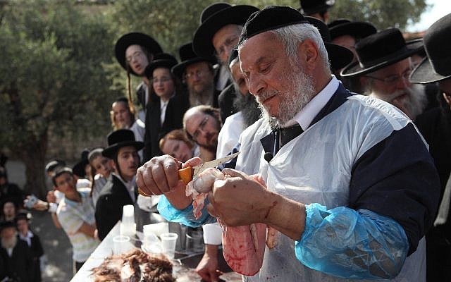 Illustrative: Demonstration of a ritual goat slaughter for ultra-Orthodox Jewish students in Zichron Moshe, on April 26, 2011. (Yaakov Naumi/Flash90)