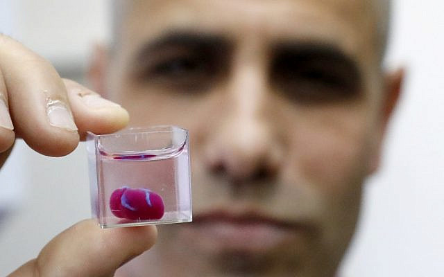 Professor Tal Dvir presents a 3D print of a heart with human tissue at Tel Aviv University on April 15, 2019. (Jack Guez/ AFP)