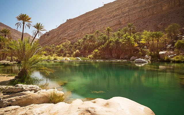 Illustrative. Lake with palm trees (Wadi Bani Khalid) in the Omani desert. (iStock)