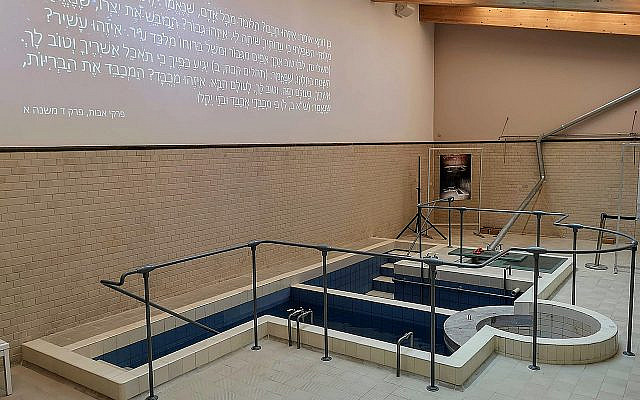 Example of a Mikveh - (White Stork Synagogue in Wroclaw, Poland. (Wikipedia/Stefan Walkowski) via Jewish News)