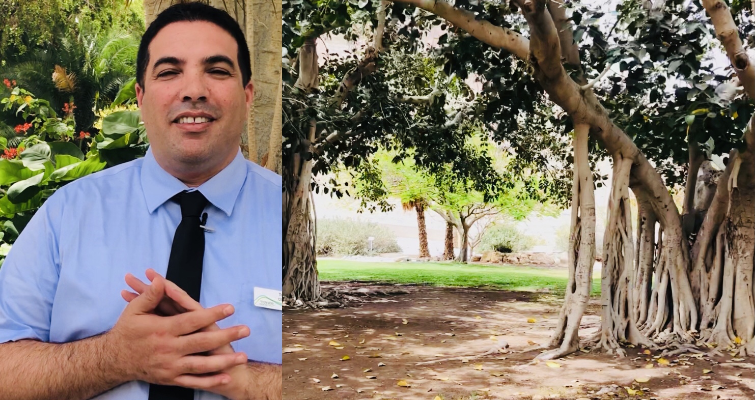 An oasis to connect past — my Ein Gedi trip - Vimarsana News