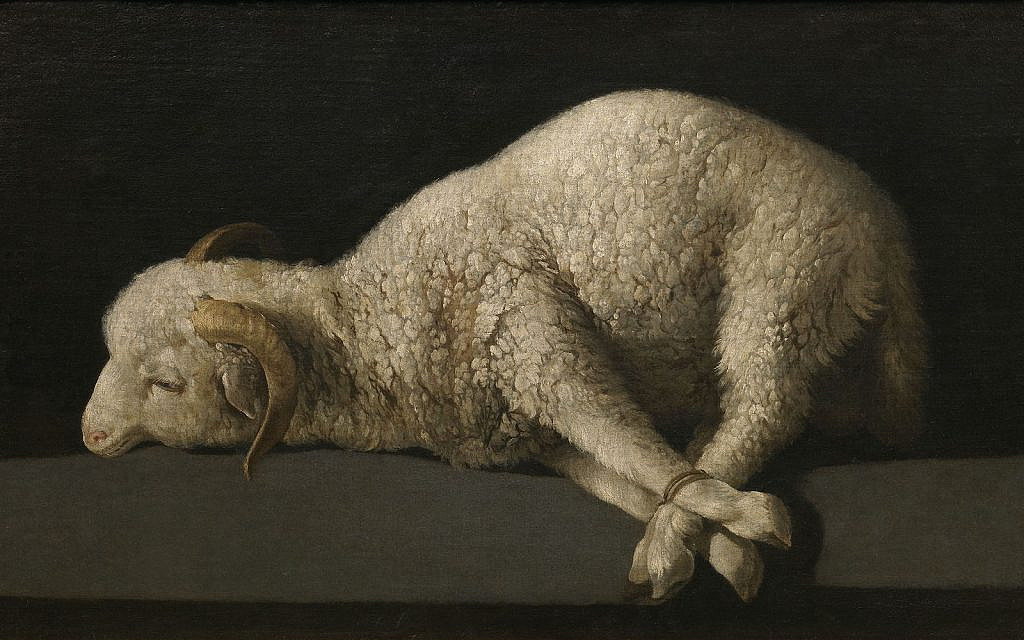 'Agnus Dei' (The Lamb of God) by Spanish painter Francisco de Zurbarán  (1598–1664) (PD via Wiki Commons)