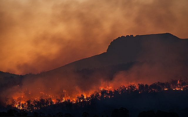 wildfires (Photo by Matt Palmer on Unsplash)