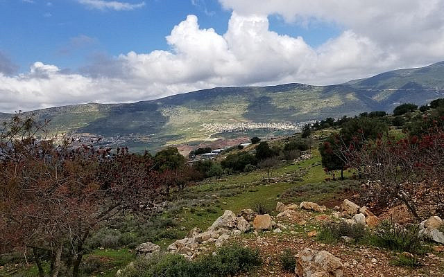 Galilee, Israel, courtesy of Geoffrey Clarfield