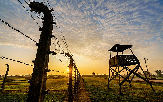 Auschwitz-Birkenau. Image © 2019 Copyright Perry Trotter
