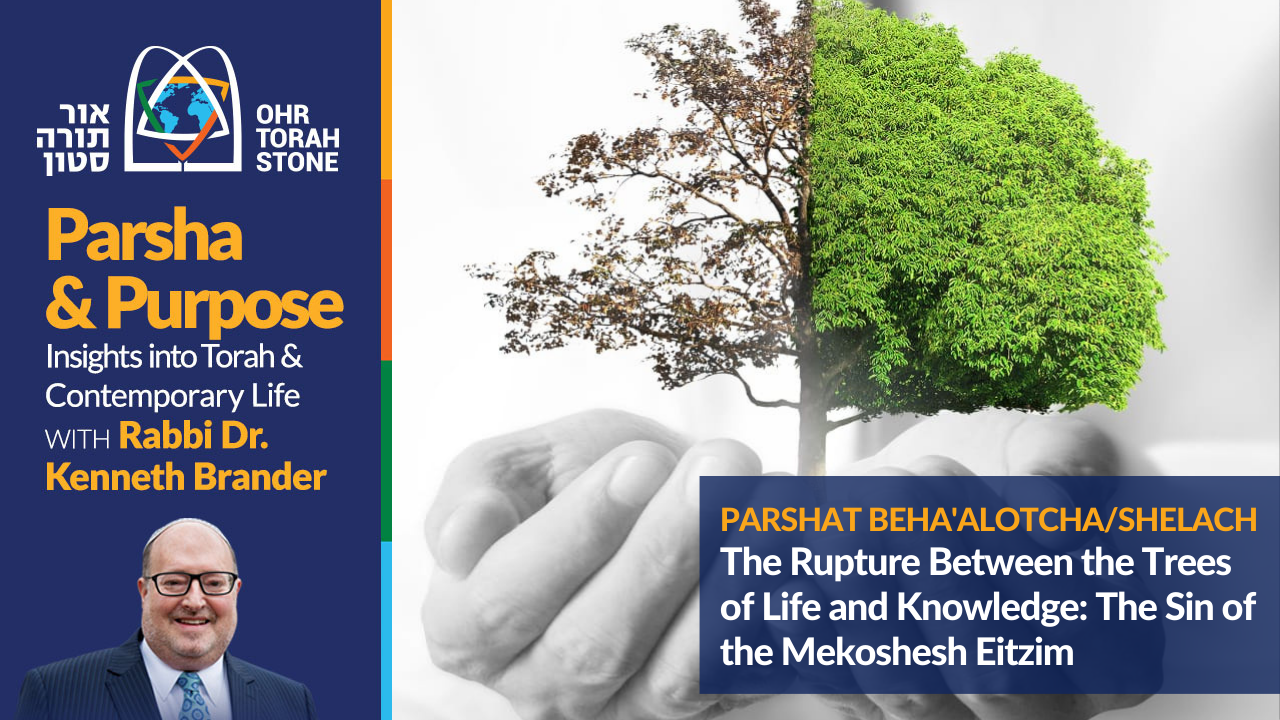 The Rupture Between the Trees of Life and Knowledge - Vimarsana News