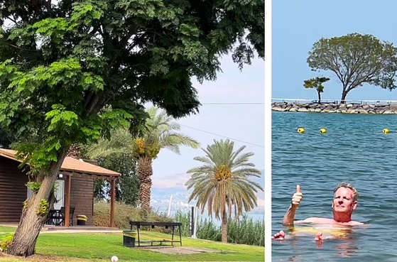 Preserving travel dreams of the bankrupt kibbutz - Vimarsana News