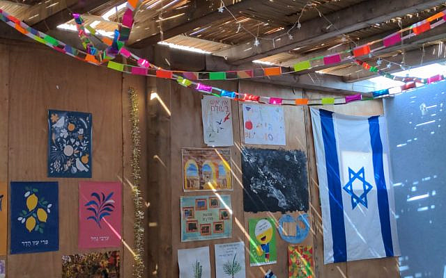 In our sukkah - picture by Romi