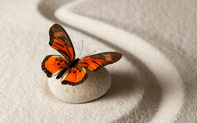 Sand background with rock and butterfly. (iStock)