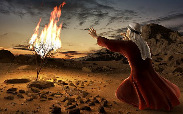 Moses and the burning bush. Story of book of exodus in bible. The shrub was on fire, but was not consumed by the flames. 3D render illustration.