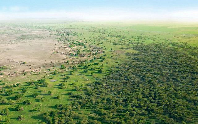 The Great Green Wall of Africa. (via Twitter)