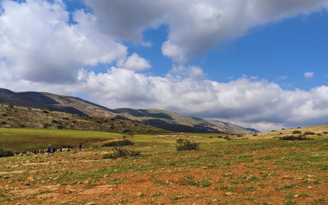 The hills of the Jordan Valley