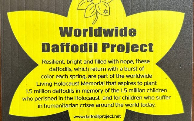 The Daffodil Project. Image courtesy of the author.