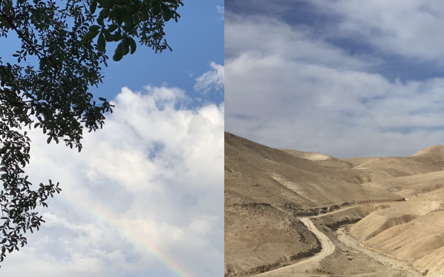 Left: Rainbow and branches; Right: Path in the Judean Desert. Photos and collage by Noach Lawrence
