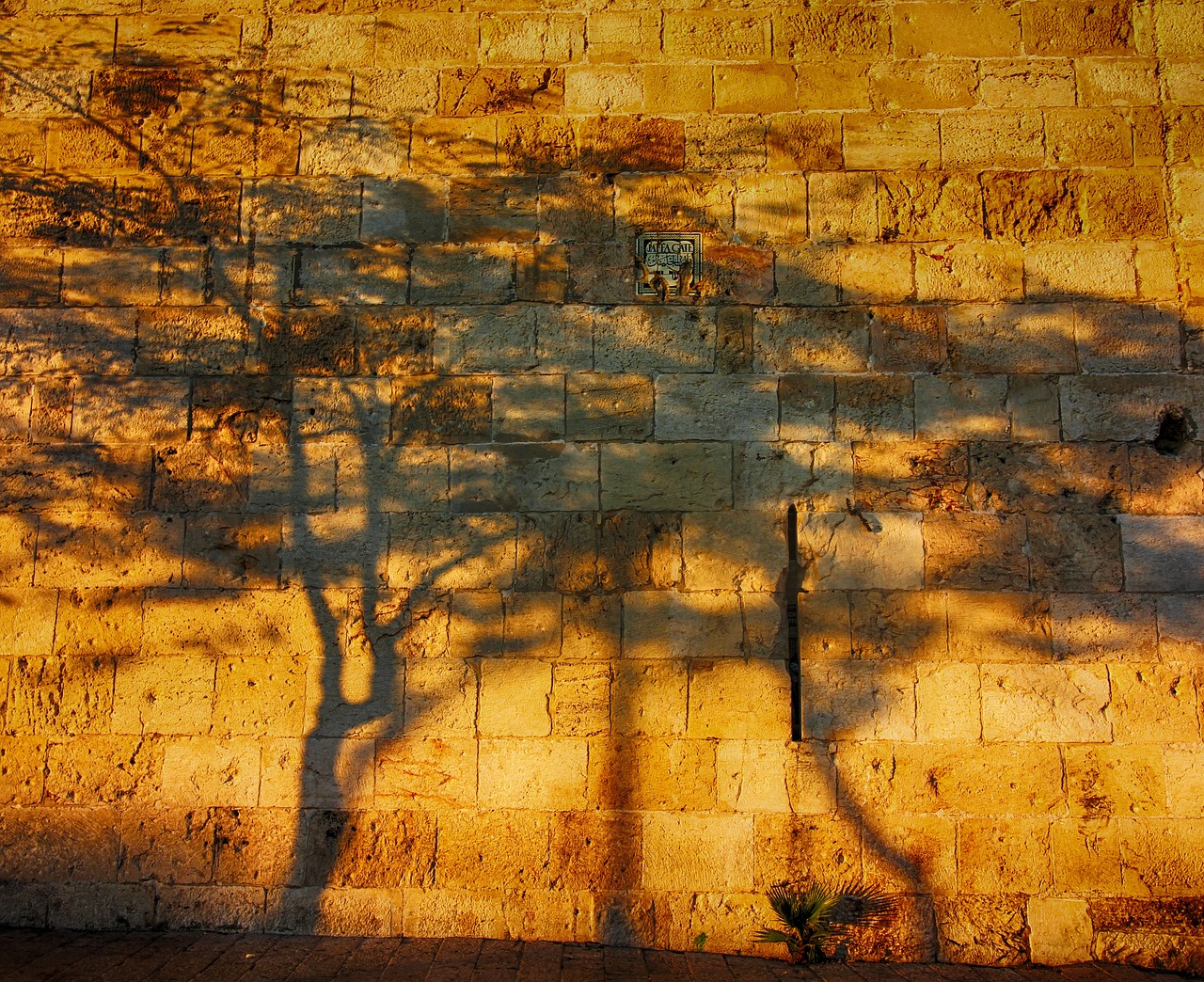 The God of Creation and the Land of Israel (Bereishit) - Vimarsana News