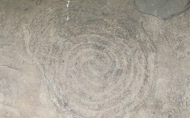 Ancient Spiral at Newgrange. Photo Rod Kersh.