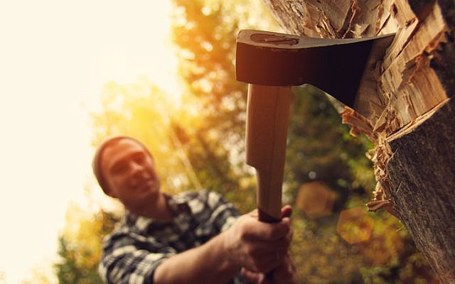 A serious and strong lumberjack chopping wood. (iStock)