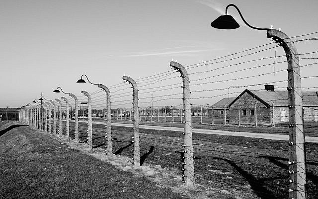 Auschwitz Birkenau
Free to use under the Unsplash License