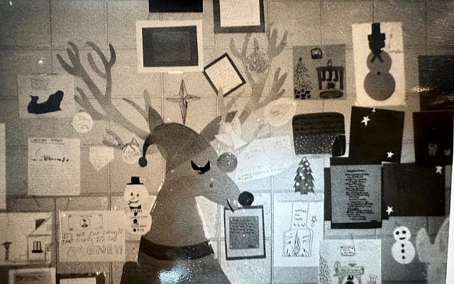 Reindeer display in Long Island public middle school, Credit: Phyllis Reiff, 1971