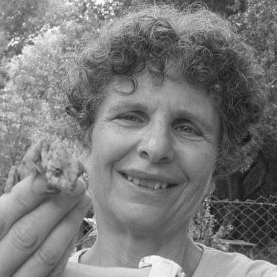 Diana Barshaw, at The Blogs - Vimarsana News