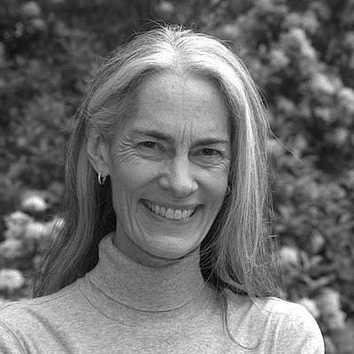 Diane Bisgaier, at The Blogs - Vimarsana News