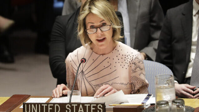 United States ambassador to the United Nations Kelly Craft speaks during a Security Council meeting at United Nations headquarters, Tuesday, Feb. 11, 2020. (AP Photo/Seth Wenig)