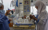 تصویر: کادر پزشکی فلسطینیان، ۱۹ نوامبر ۲۰۲۳، پس از تخلیهٔ نوزادان نارس از بیمارستان الشفای شهر غزه به بیمارستان اماراتی رفیح در جنوب نوار، حین مراقبت از نوزادان مشاهده می-شوند. (Mohammed ABED / AFP)