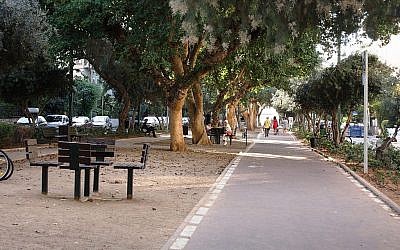 Plusieurs espèces d'arbres bordent le boulevard Ben Gurion à Tel Aviv. (Shmuel Bar-Am)