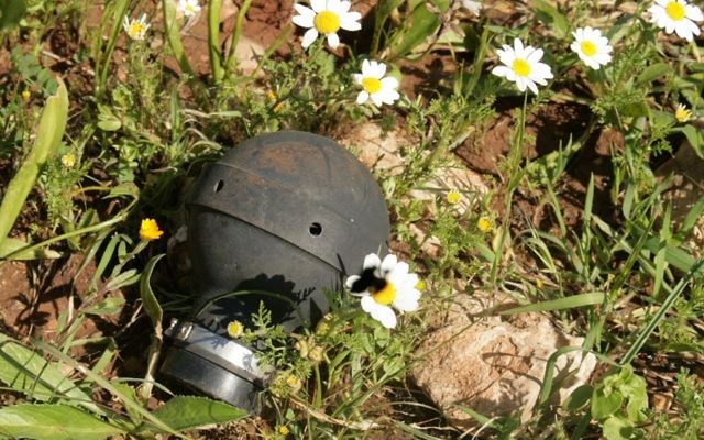 Une grenade lacrymogène standard de l'armée. (Crédit : CC-BY-SA Daboos Hassan/Wikipedia)