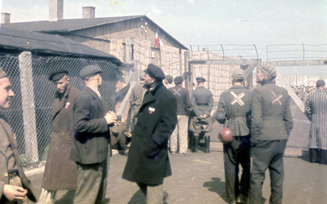 Dachau 1933 (Crédit : Vintage Everyday)