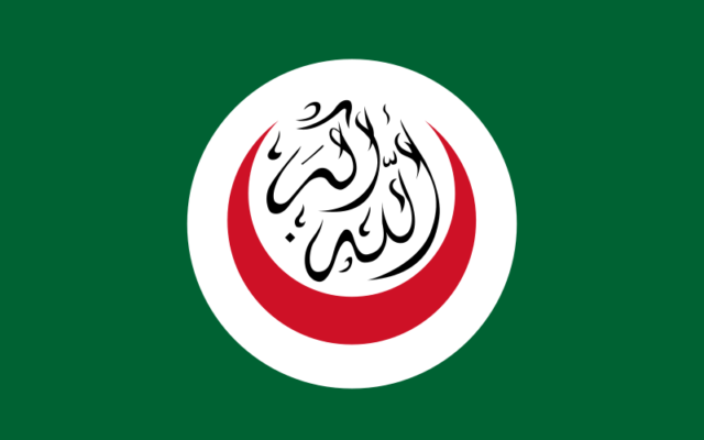 Drapeau de l'Organisation de la coopération islamique (Crédit : domaine public Wikimedia commons)