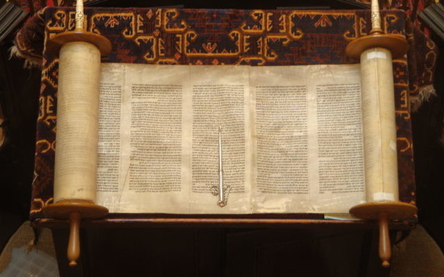 Un rouleau de la Torah ouvert (Crédit : CC BY Lawrie Cate/Wikimedia Commons)