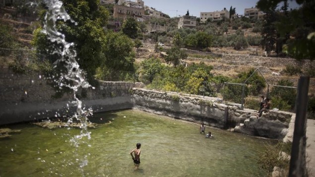 Des enfants se baignent dans l'ancienne source du village de Battir, au sud de Jérusalem, le 17 juin 2012 (Crédit : AFP/Archives Menahem Kahana)