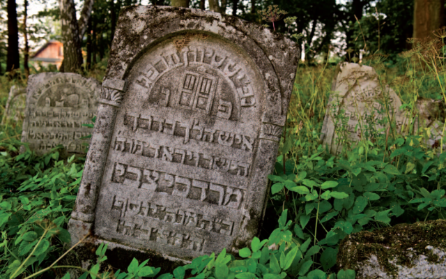 Une tombe d'un cimetière juif de Szczebrzeszyn, en Pologne. Illustration. (Crédit : Fondation pour la préservation du patrimoine juif en Pologne)