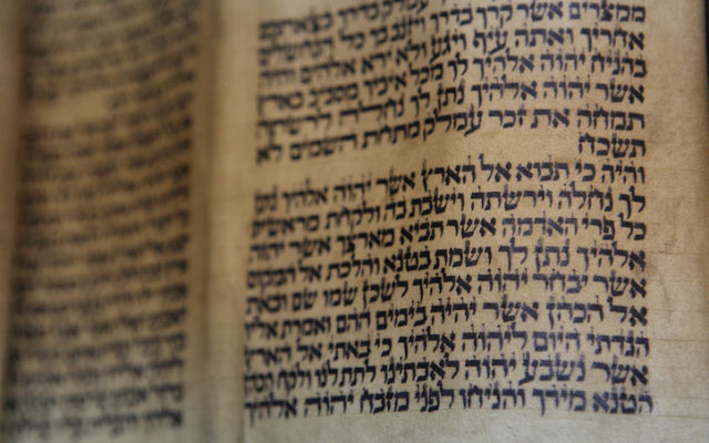 Illustration d'un rouleau de la Torah (Crédit : Yaakov Naumi/Flash90)