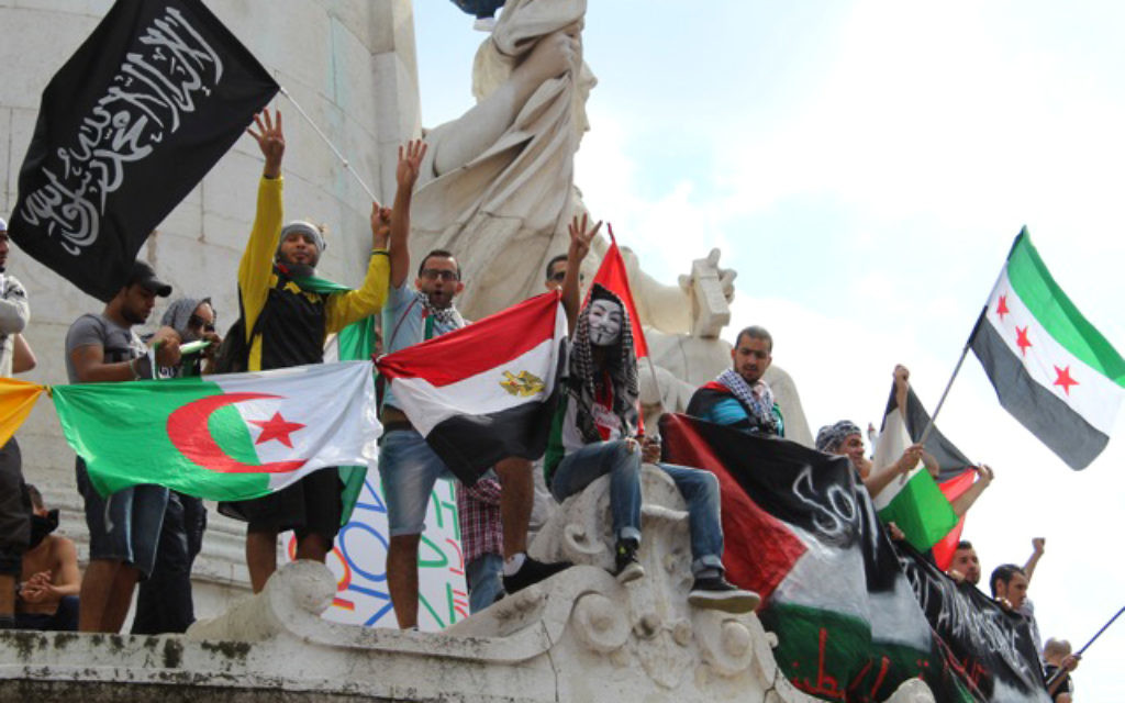 Rassemblement à Paris le 26 juillet qui avait été interdit (Crédit : Glenn Cloarec/Times of Israel)