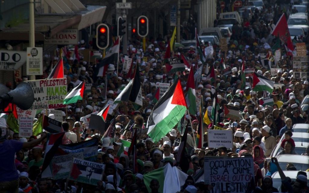 Manifestation à Johannesburg contre l'opération Bordure protectrice à Gaza (Crédit : RODGER BOSCH / AFP)